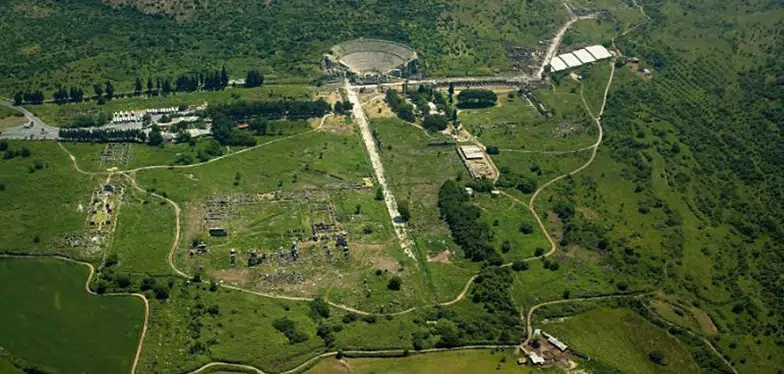 services image